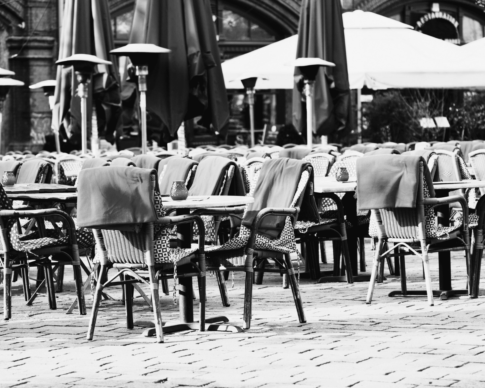 Professionnel du tourisme